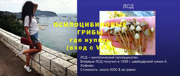 гидра Вуктыл