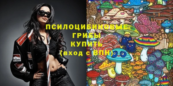гидра Вуктыл