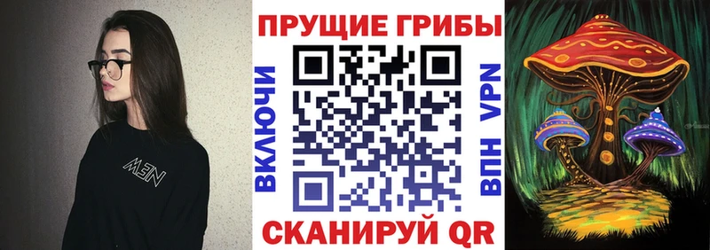 Галлюциногенные грибы Cubensis  где можно купить   Касли 