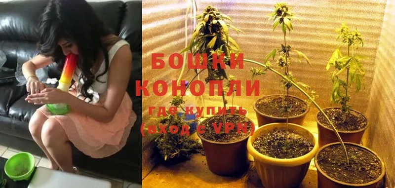 omg как зайти  Касли  Конопля OG Kush 